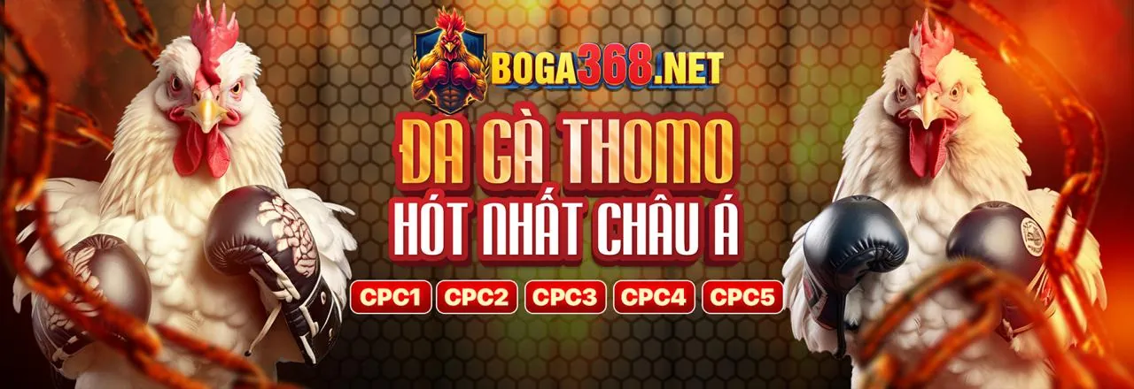 Ứng dụng di động 888p